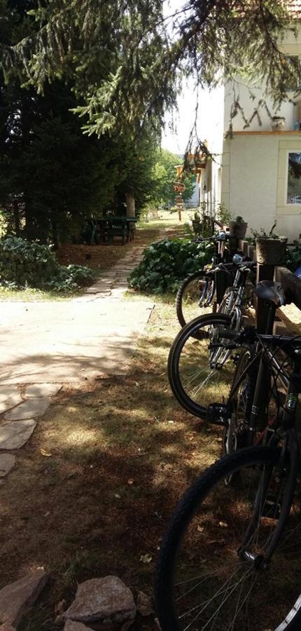 Belette Apartments & Park Nikšić Eksteriør billede